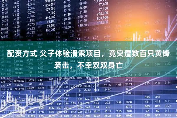 配资方式 父子体验滑索项目，竟突遭数百只黄锋袭击，不幸双双身亡