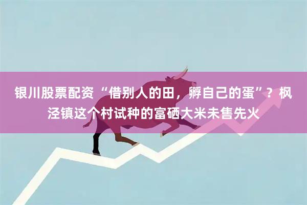 银川股票配资 “借别人的田，孵自己的蛋”？枫泾镇这个村试种的富硒大米未售先火