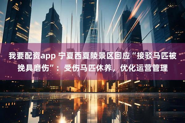 我要配资app 宁夏西夏陵景区回应“接驳马匹被挽具磨伤”：受伤马匹休养，优化运营管理